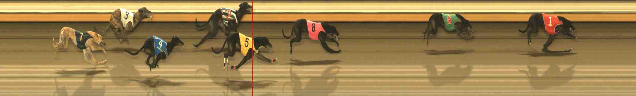 Photo finish for Warrnambool Race 12