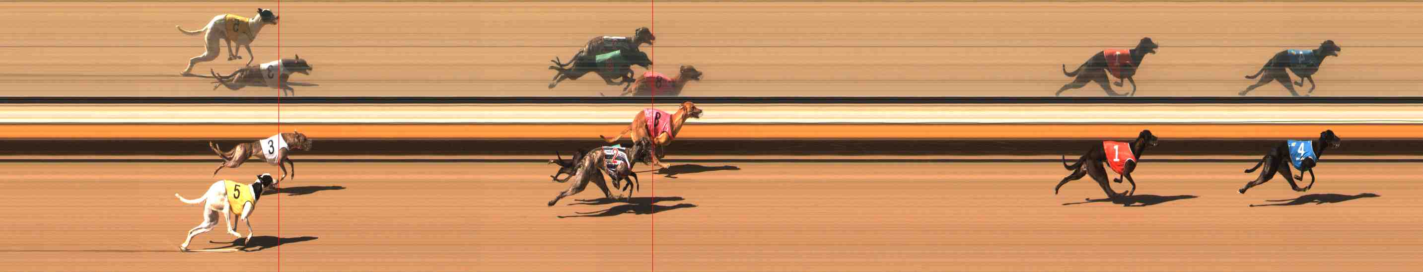 Photo finish for Warrnambool Race 1