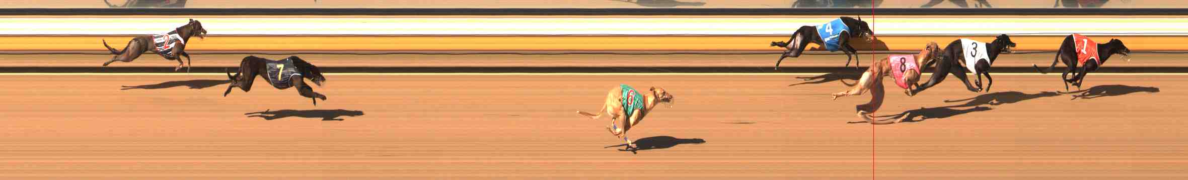 Photo finish for Warrnambool Race 2