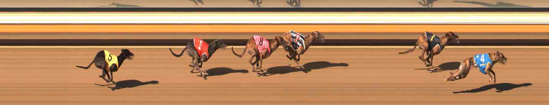Photo finish for Warrnambool Race 3