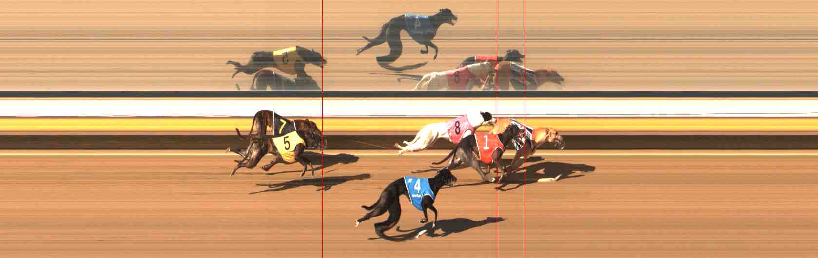 Photo finish for Warrnambool Race 4