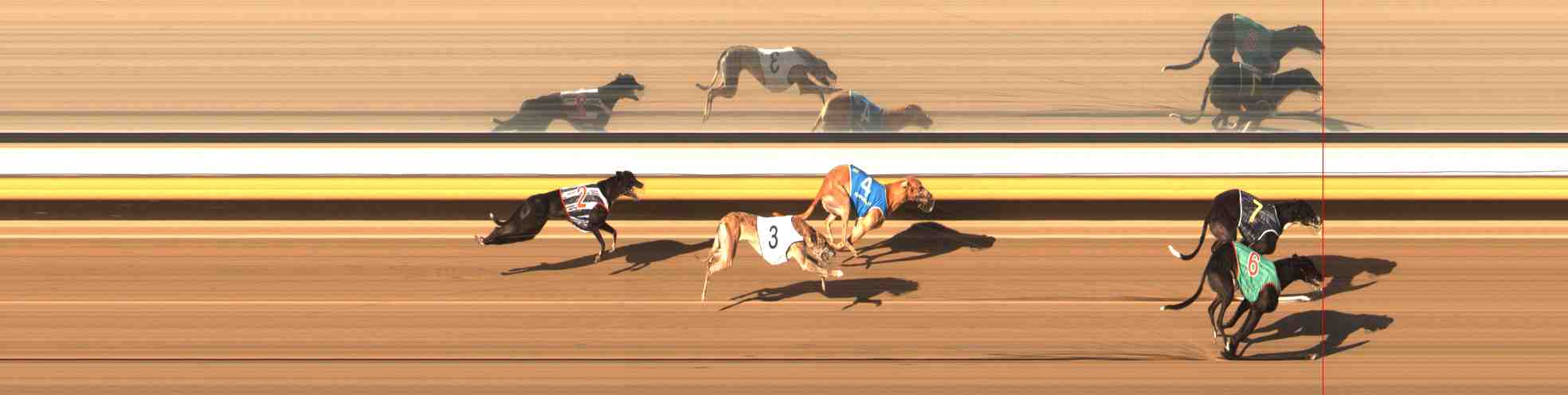 Photo finish for Warrnambool Race 5