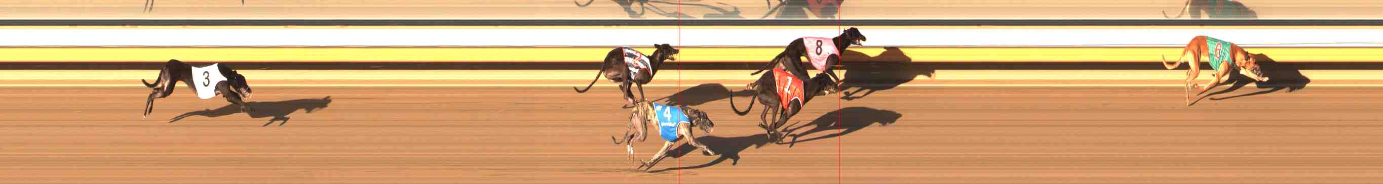 Photo finish for Warrnambool Race 6