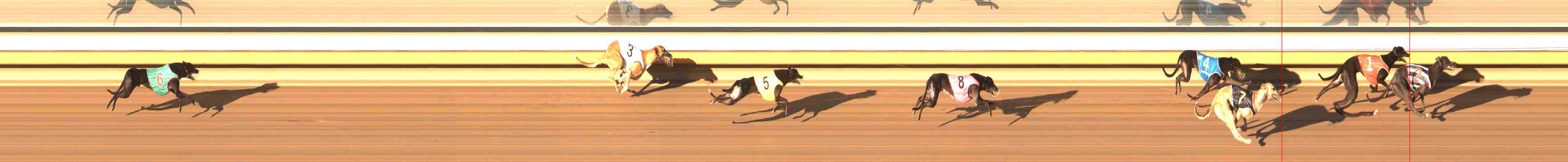 Photo finish for Warrnambool Race 7
