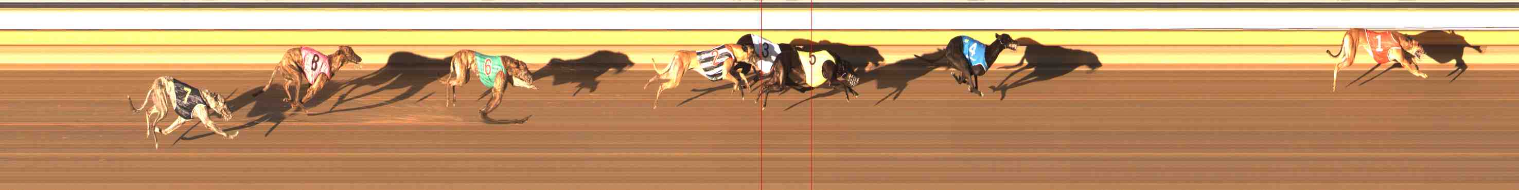 Photo finish for Warrnambool Race 8