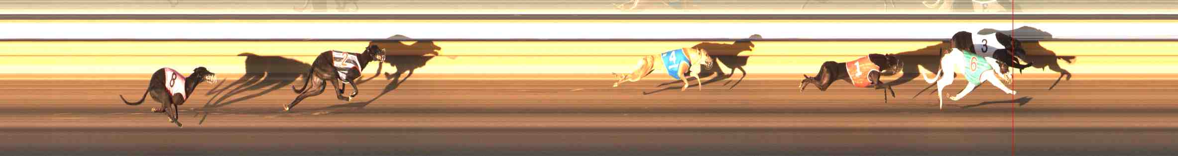 Photo finish for Warrnambool Race 9