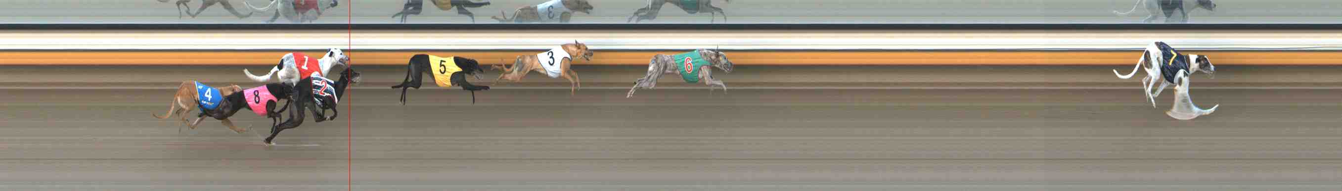 Photo finish for Warrnambool Race 10