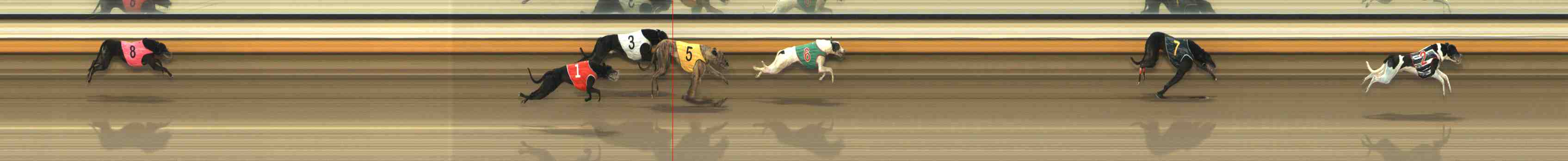 Photo finish for Warrnambool Race 11