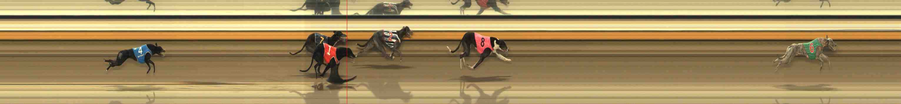 Photo finish for Warrnambool Race 12