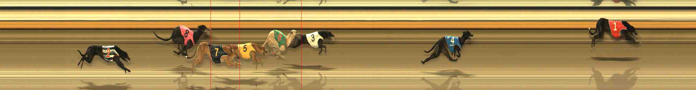 Photo finish for Warrnambool Race 13