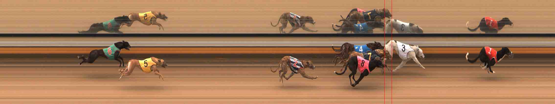 Photo finish for Warrnambool Race 1