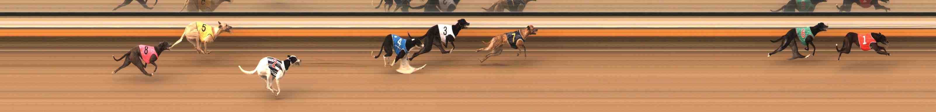Photo finish for Warrnambool Race 2