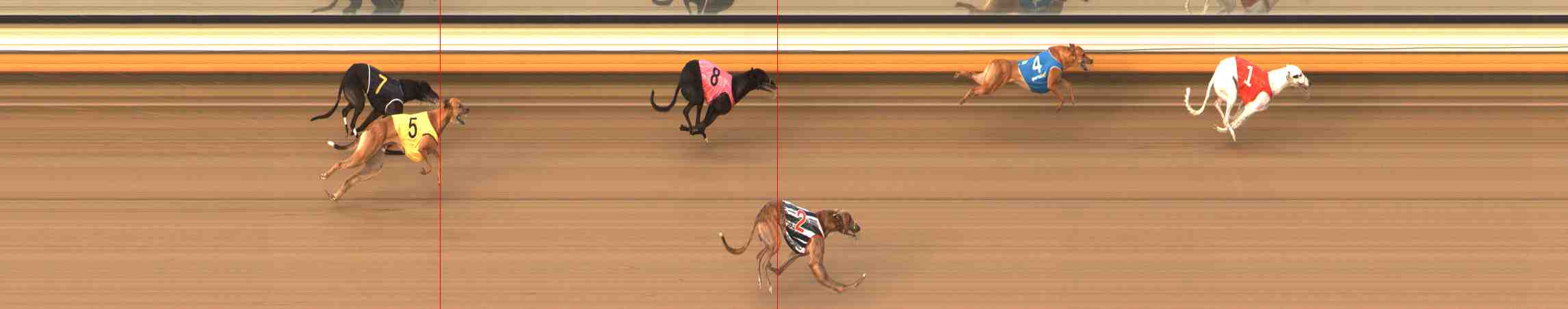 Photo finish for Warrnambool Race 5