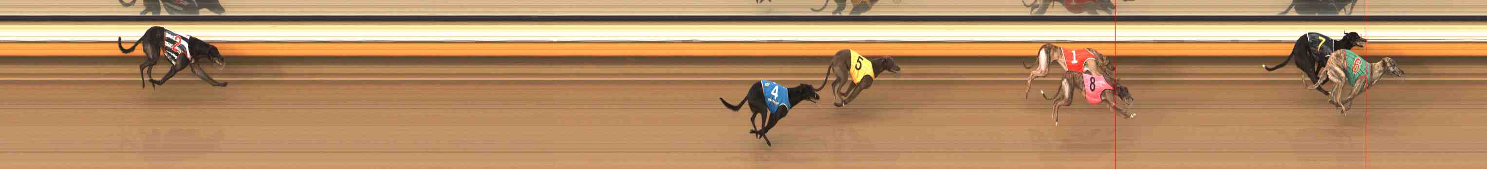 Photo finish for Warrnambool Race 6