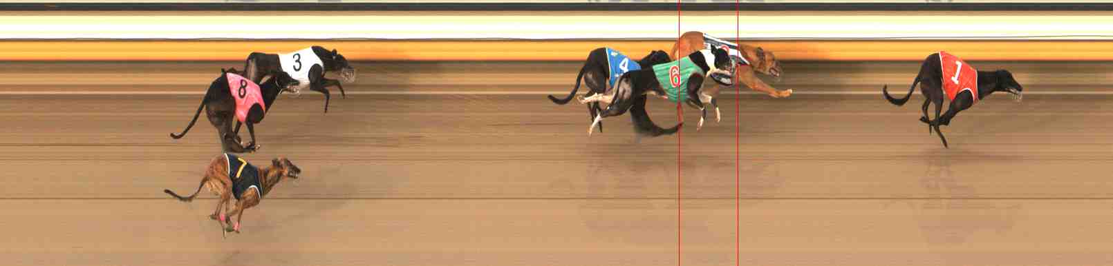 Photo finish for Warrnambool Race 7