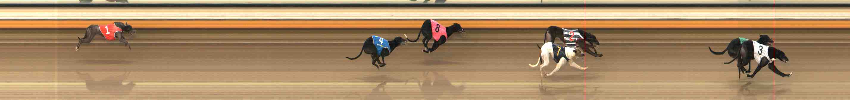 Photo finish for Warrnambool Race 8