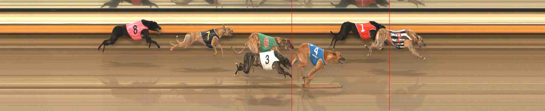 Photo finish for Warrnambool Race 9