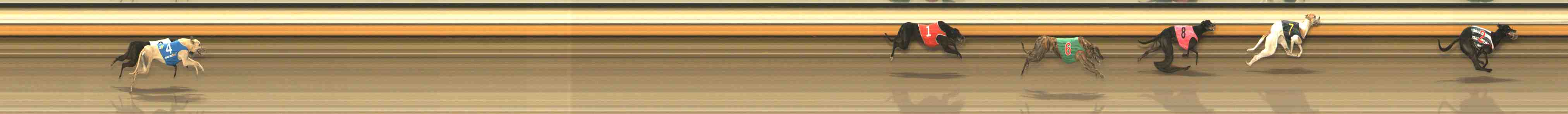 Photo finish for Warrnambool Race 10