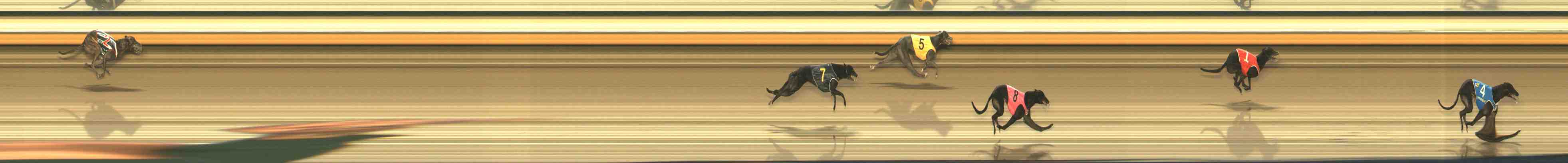 Photo finish for Warrnambool Race 11