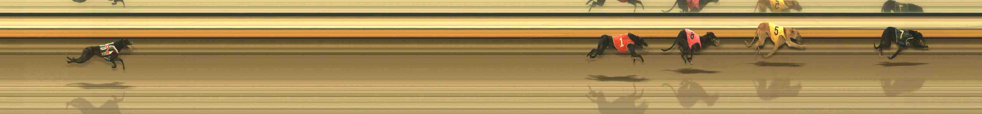 Photo finish for Warrnambool Race 12