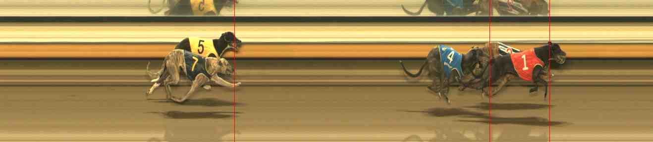 Photo finish for Warrnambool Race 13
