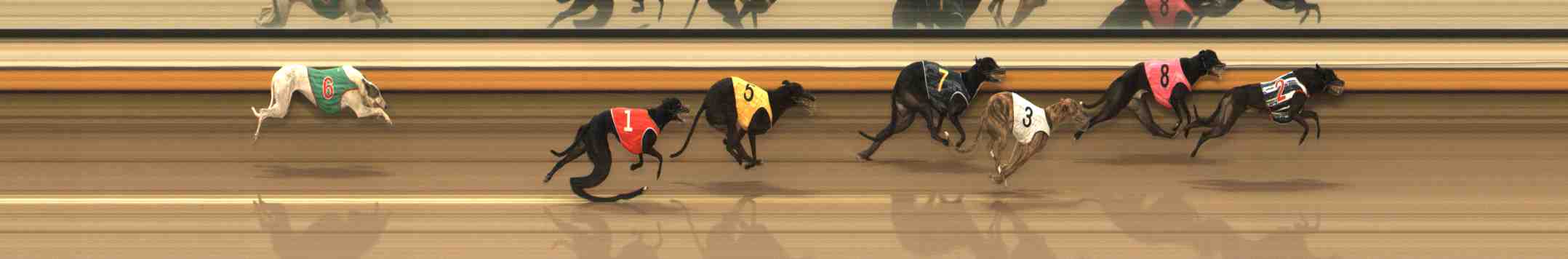 Race result finish photo