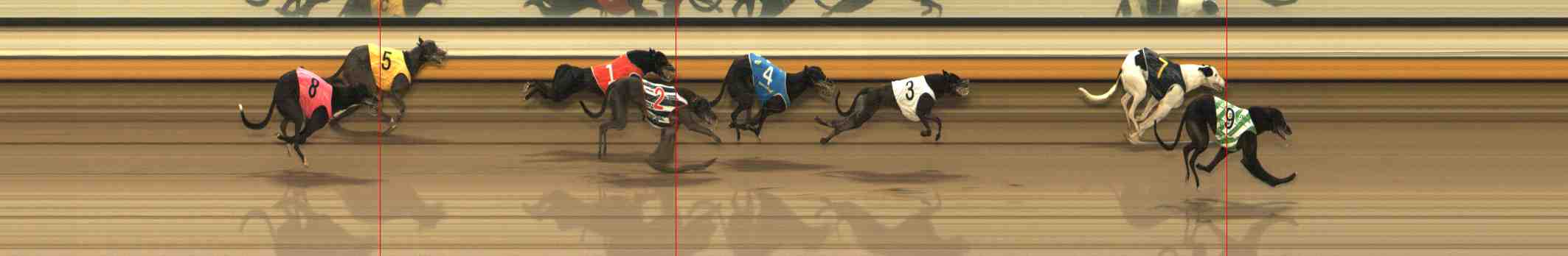 Race result finish photo