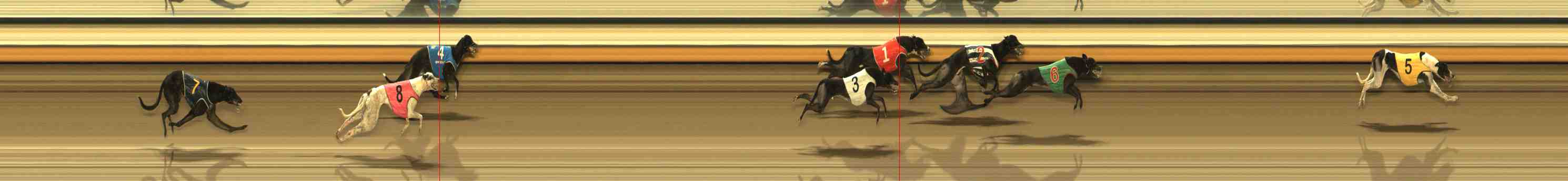 Race result finish photo