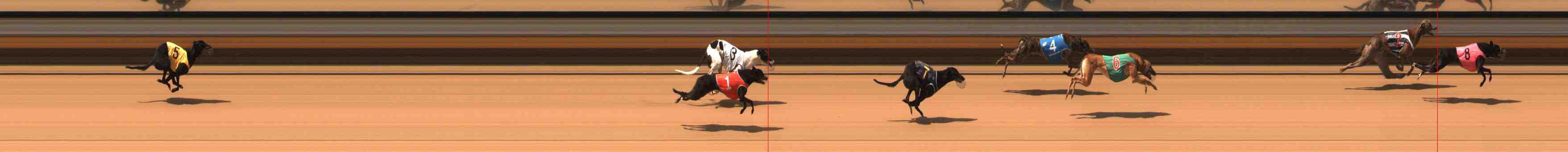 Photo finish for Warrnambool Race 2