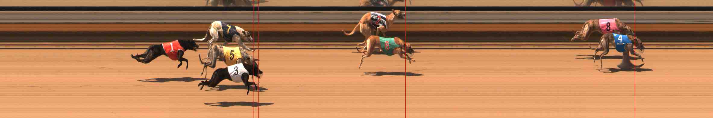 Photo finish for Warrnambool Race 3
