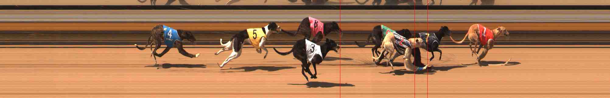 Photo finish for Warrnambool Race 4