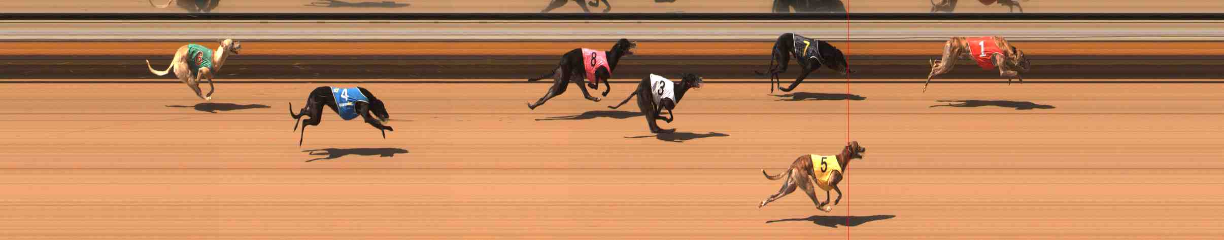 Photo finish for Warrnambool Race 5