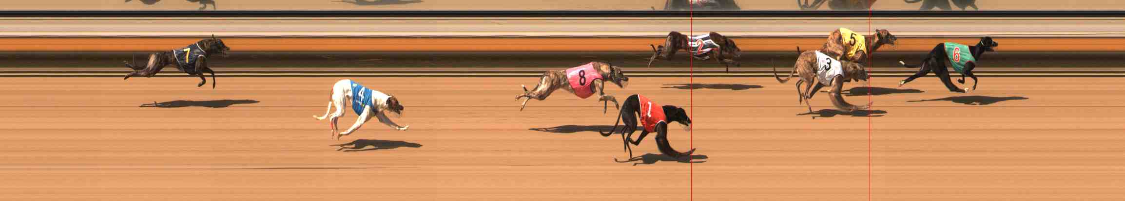 Photo finish for Warrnambool Race 6
