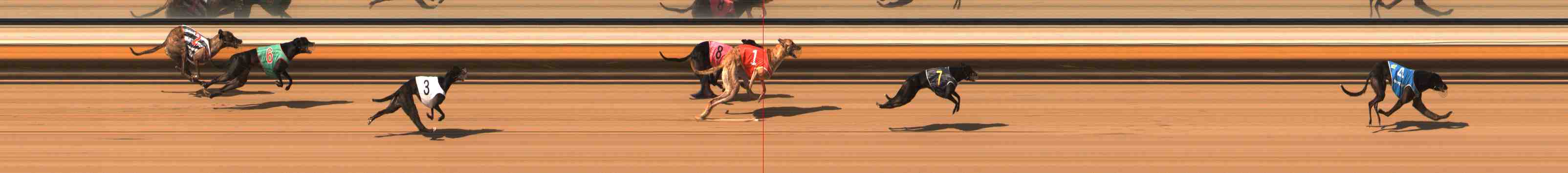 Photo finish for Warrnambool Race 7