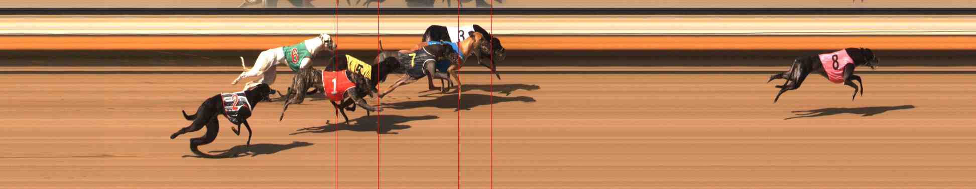 Photo finish for Warrnambool Race 8