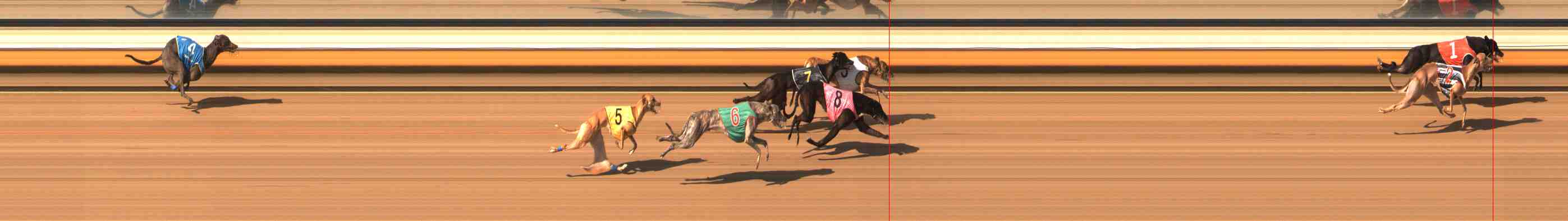 Photo finish for Warrnambool Race 9