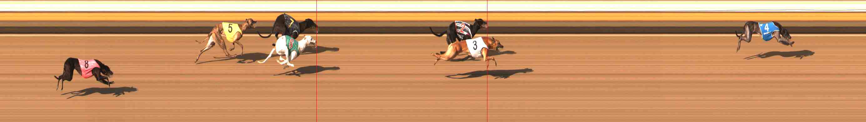 Photo finish for Warrnambool Race 10