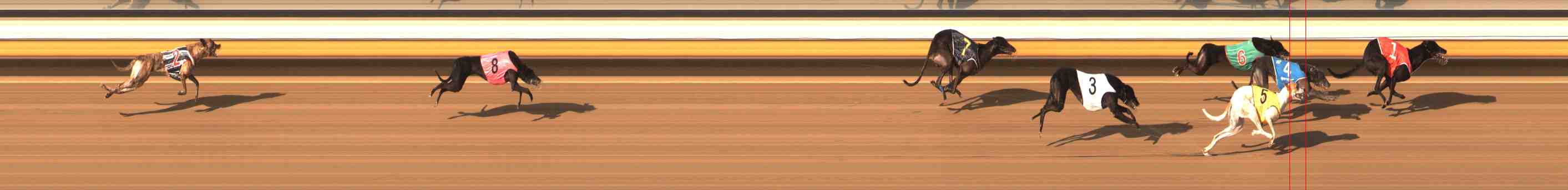 Photo finish for Warrnambool Race 11