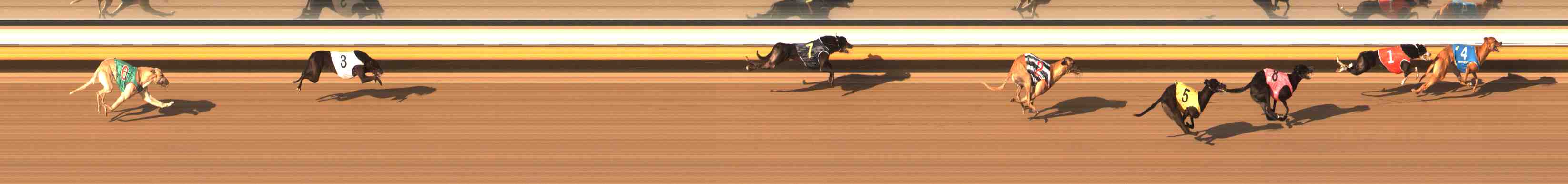 Photo finish for Warrnambool Race 12