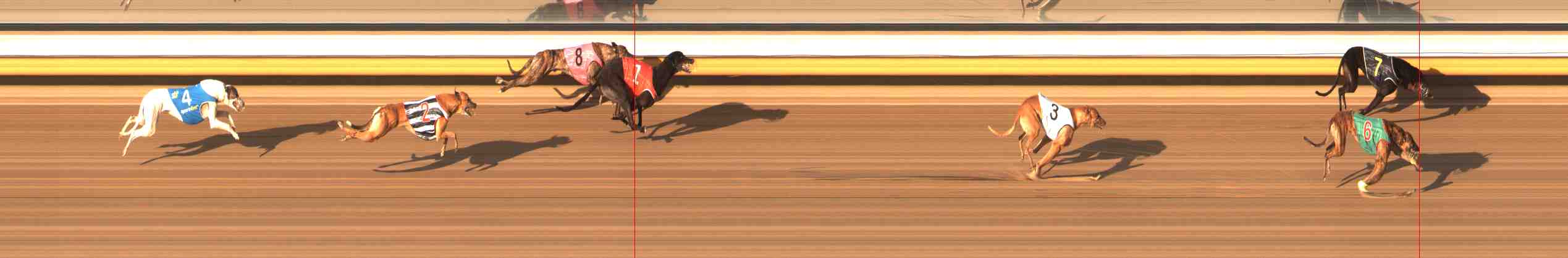 Photo finish for Warrnambool Race 13
