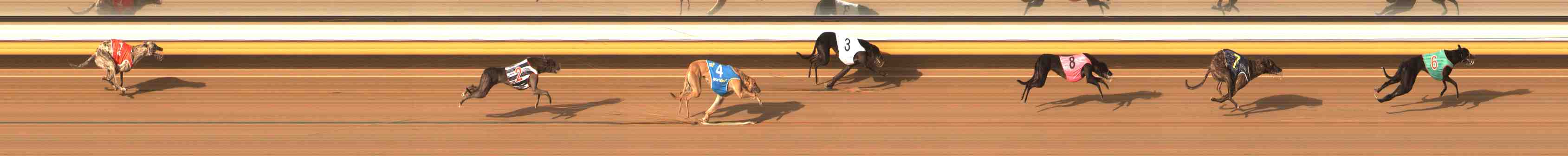 Race result finish photo