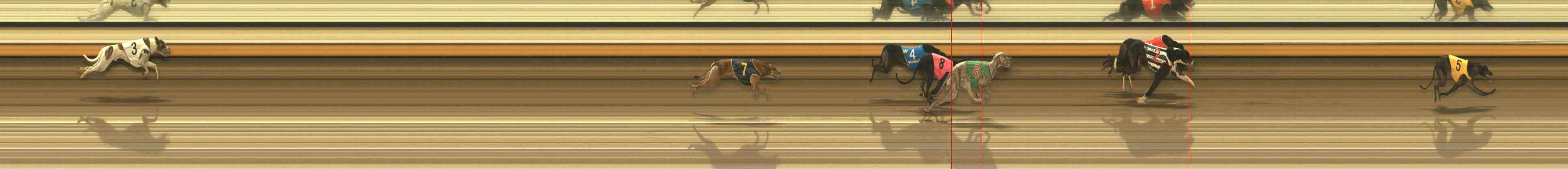 Race result finish photo