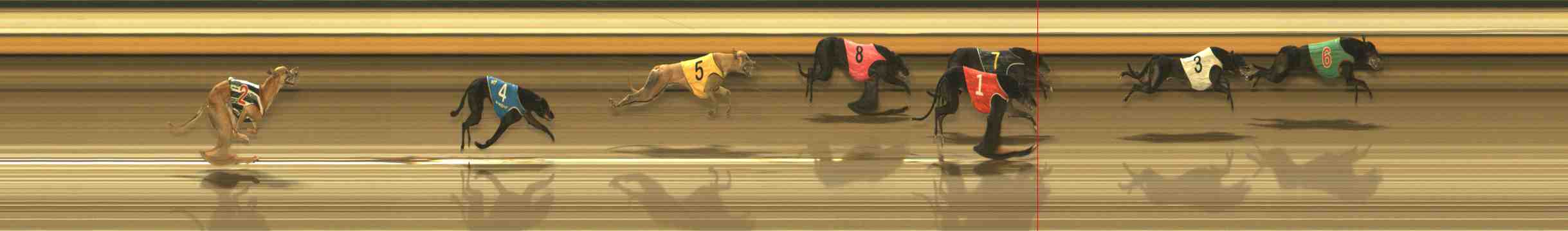 Race result finish photo