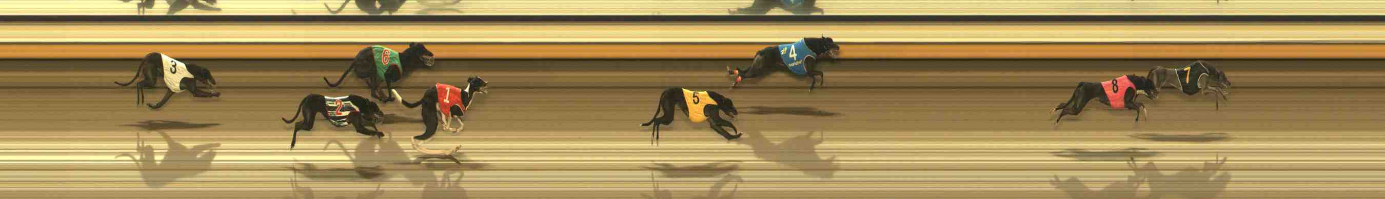 Race result finish photo