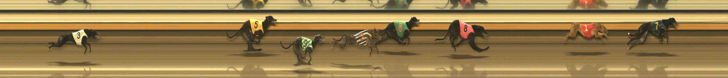 Race result finish photo