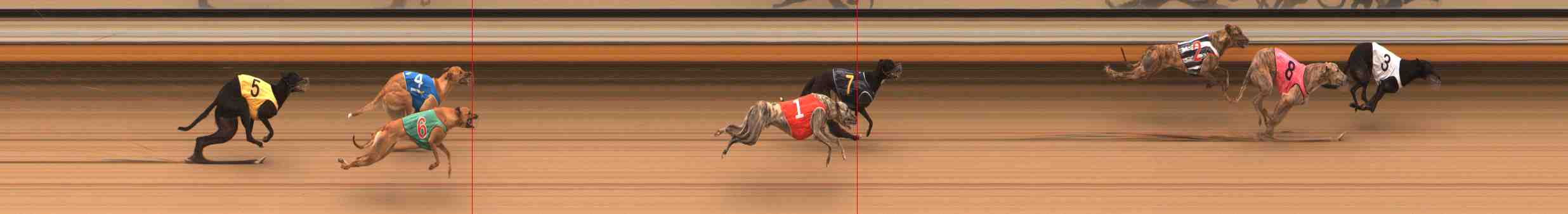 Race result finish photo