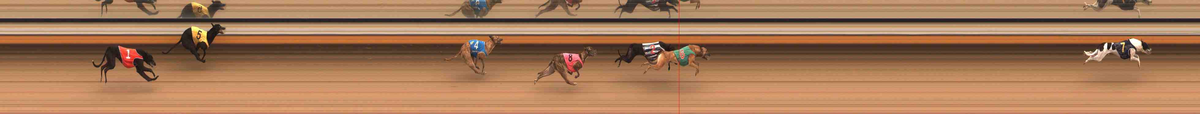 Photo finish for Warrnambool Race 2