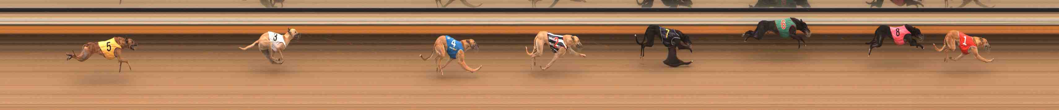 Photo finish for Warrnambool Race 3