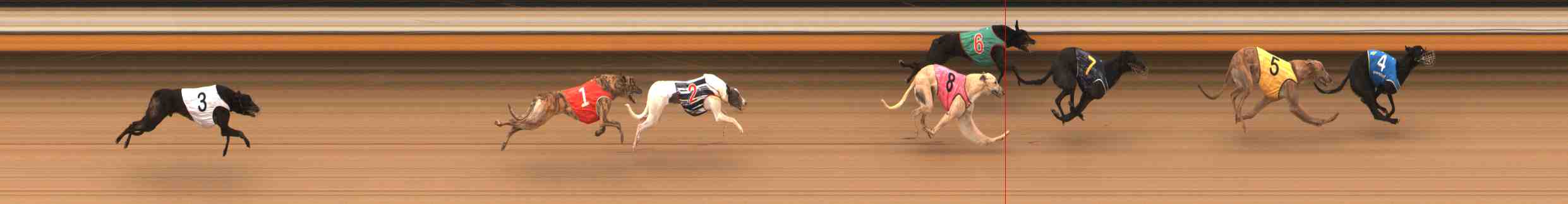 Photo finish for Warrnambool Race 4
