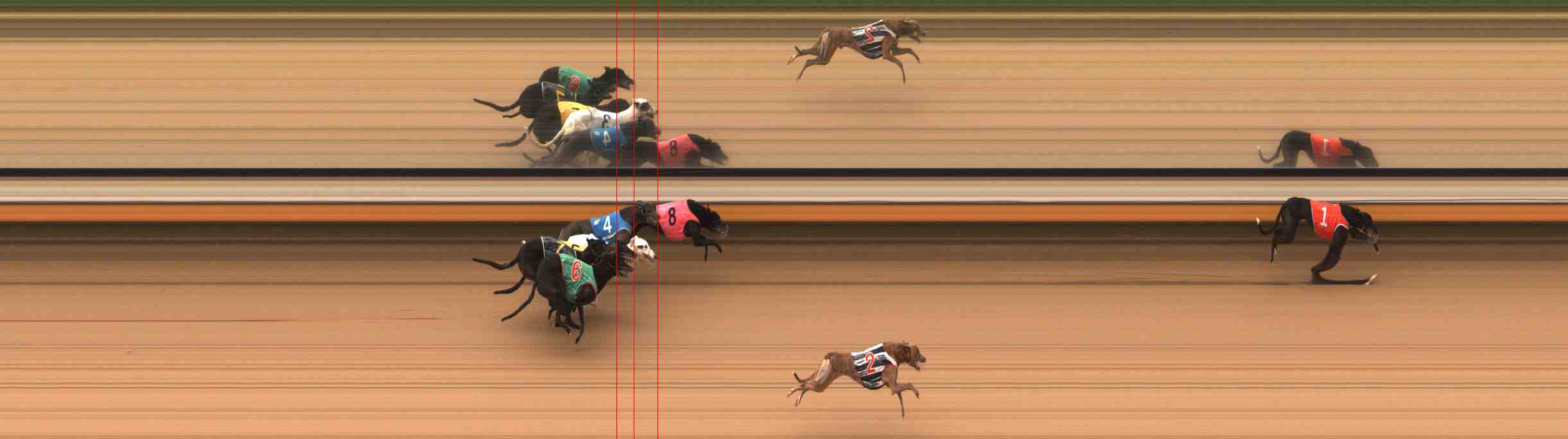Photo finish for Warrnambool Race 5